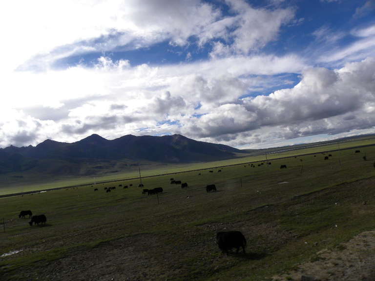 DSCN3491.jpg