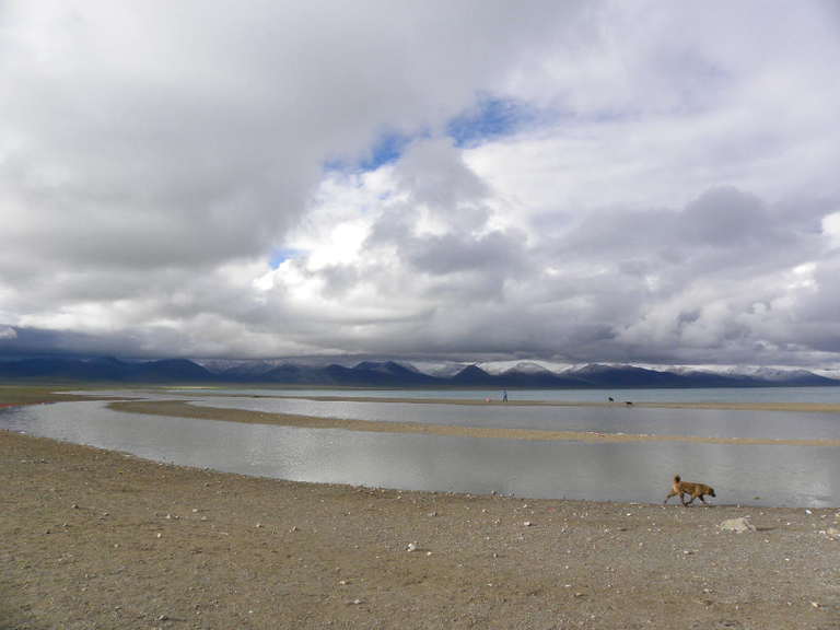 DSCN3515.jpg