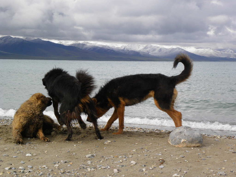 DSCN3527.jpg