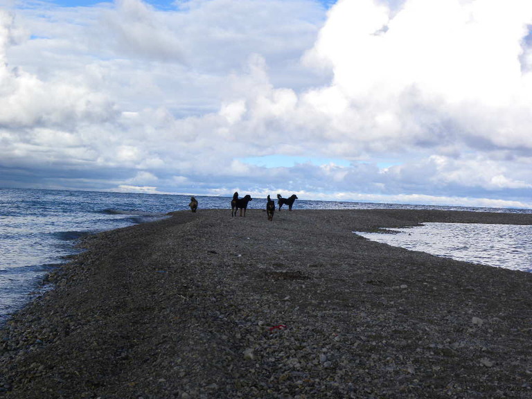 DSCN3621.jpg