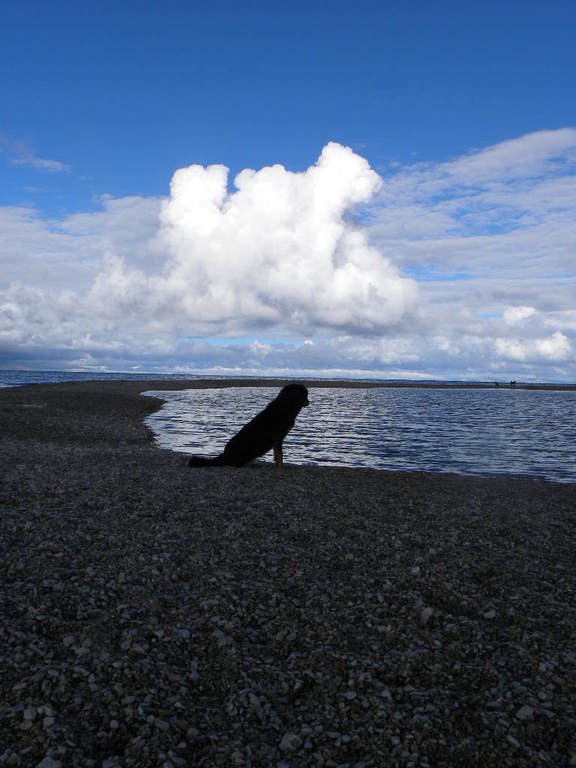 DSCN3630.jpg