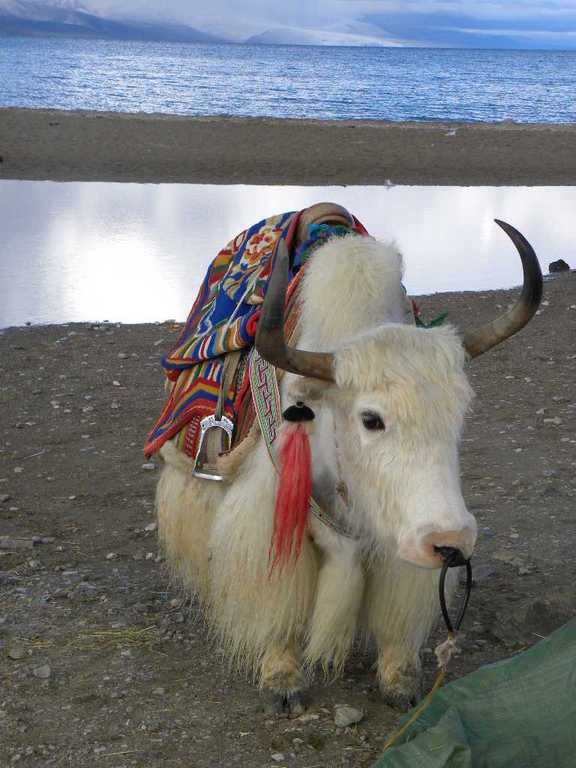 DSCN3644.jpg