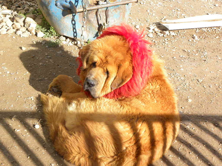 DSCN3727.jpg