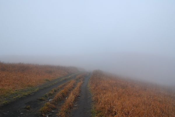nEO_IMG_DSC_5245.jpg