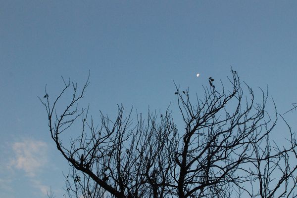 nEO_IMG_DSC_4889.jpg