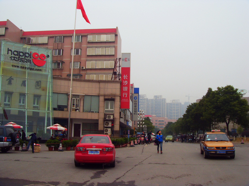SDC14595.jpg
