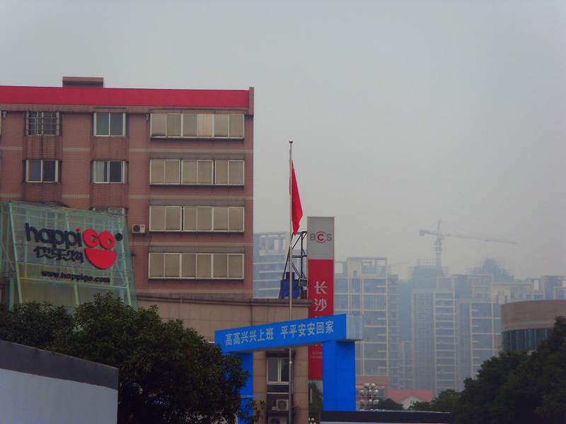 SDC14594.jpg