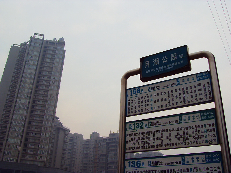 SDC14585.jpg