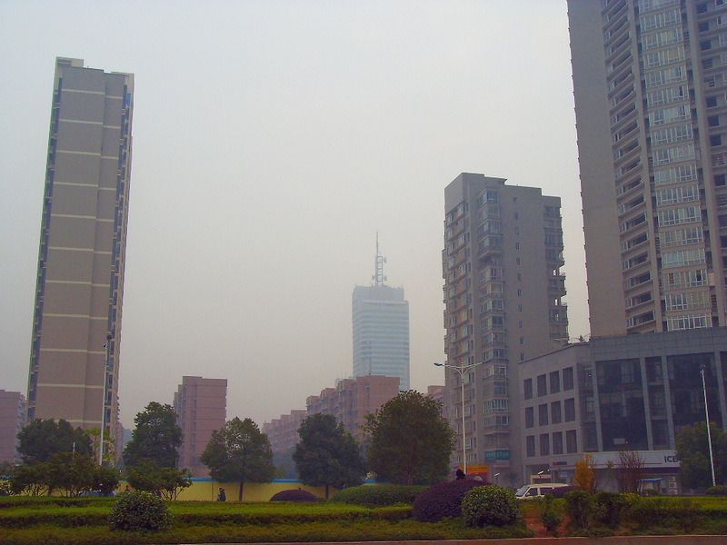 SDC14586.jpg