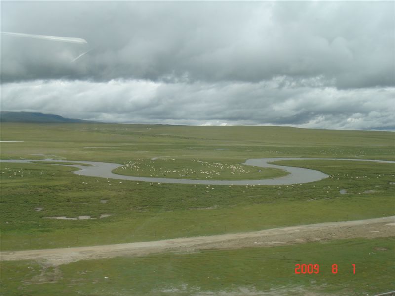 DSC08803.JPG