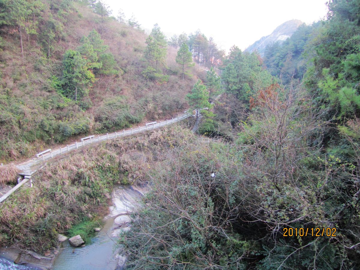 IMG_0635.jpg