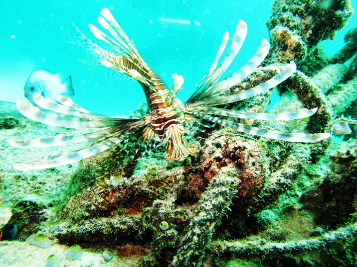 IMG_2935ps.jpg