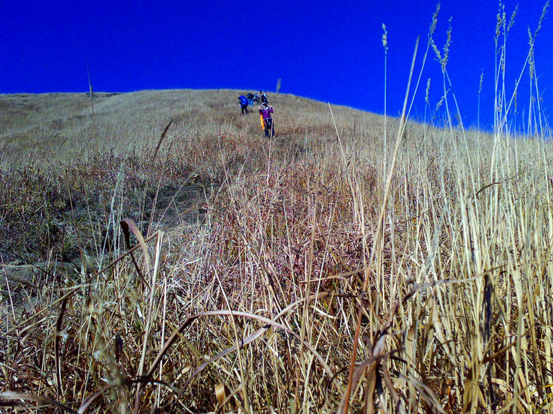 20101204092.jpg
