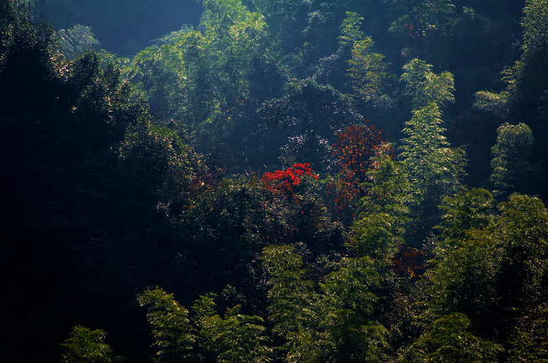 DSC_0004A.jpg