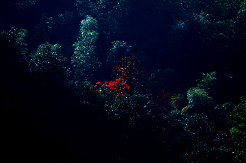 DSC_0008A.jpg