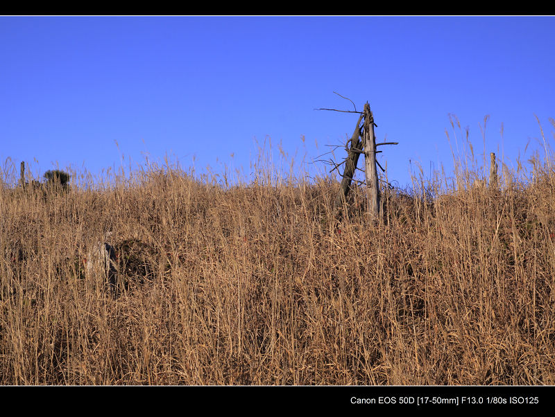 _MG_2489.jpg