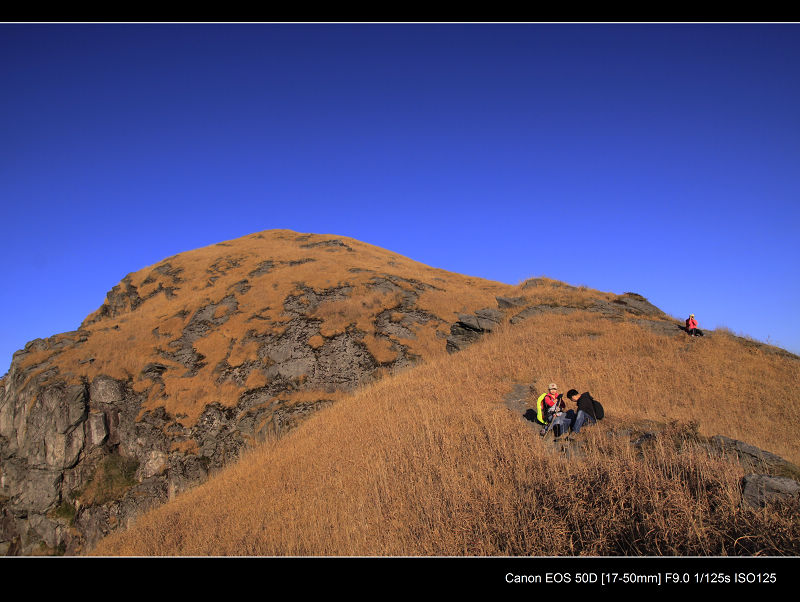 _MG_2524.jpg