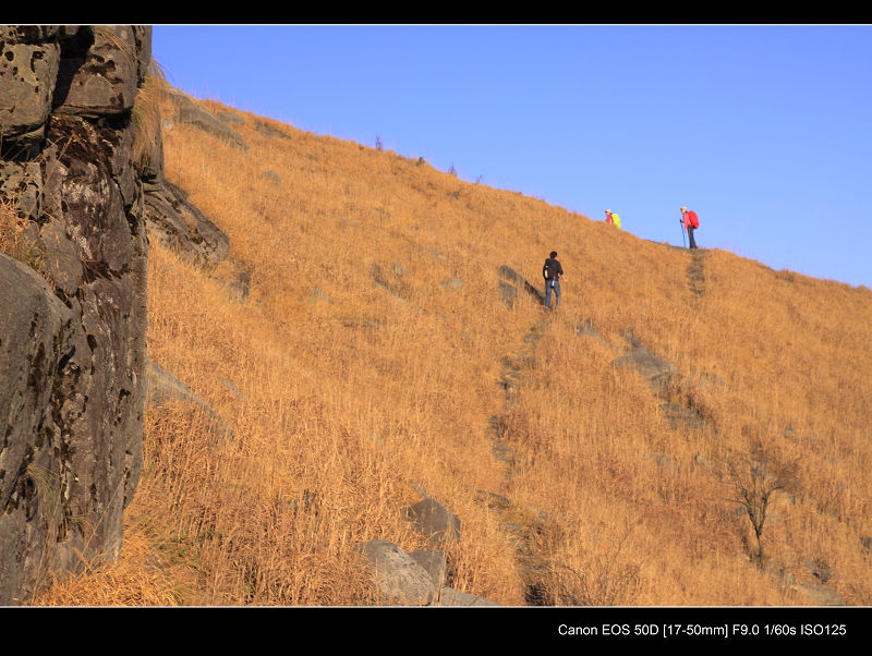 _MG_2540.jpg