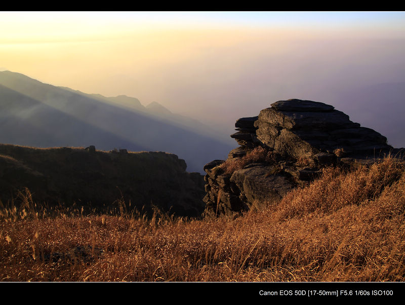_MG_2583.jpg