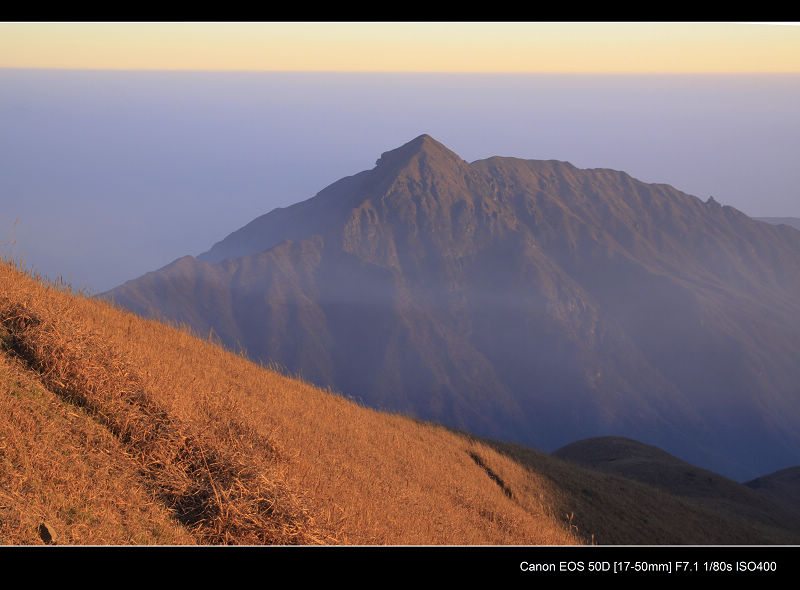 _MG_2595.jpg