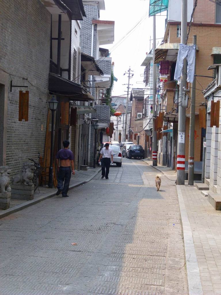 IMG_0305.jpg