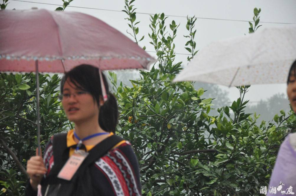2010�ٹ��� 137.jpg