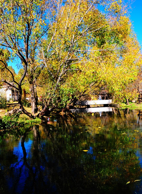 DSC_6746.jpg
