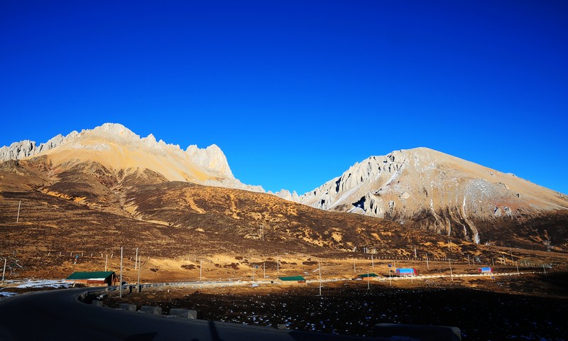 DSC_7111.jpg