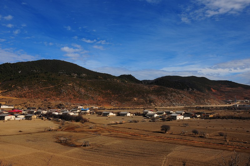 DSC_7498.jpg