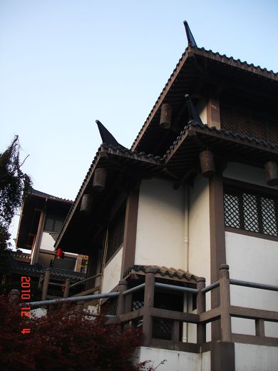DSC07789.JPG
