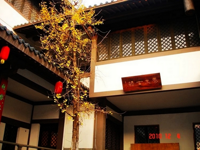 DSC07793.JPG