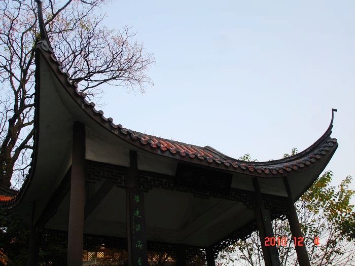 DSC07801.JPG