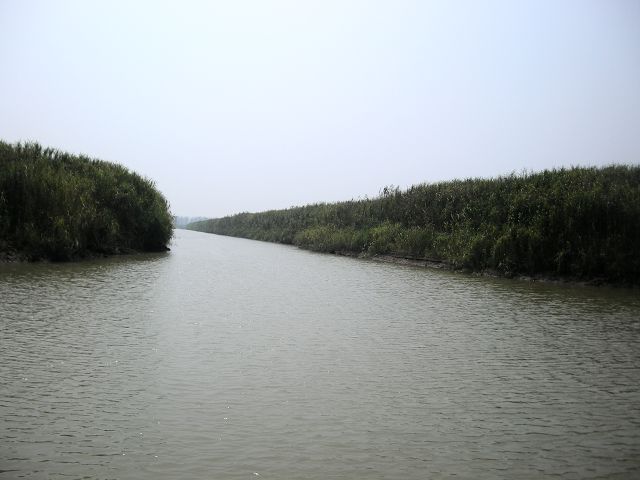 ��Ƭ 031(p).jpg