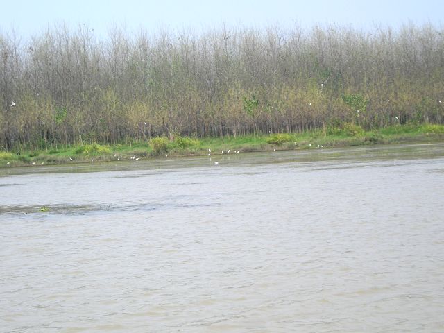 ��Ƭ 075(p).jpg