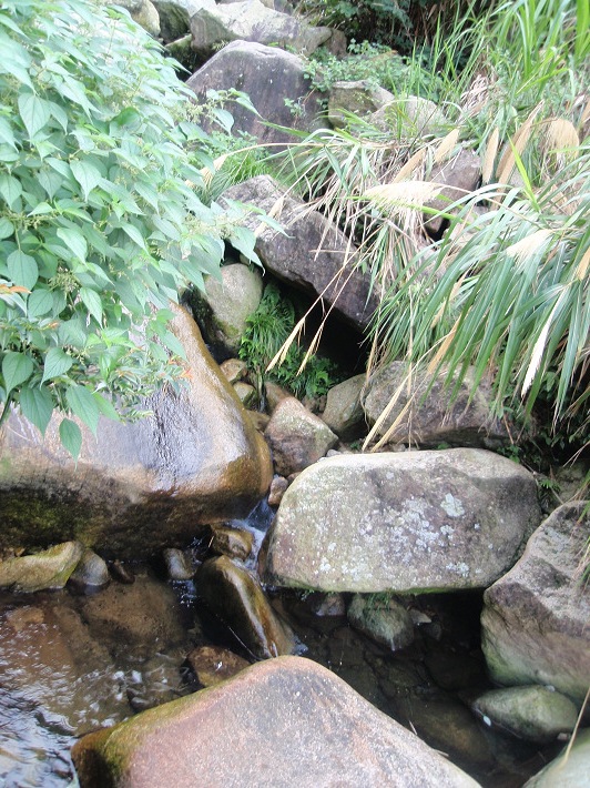 P9054232.jpg