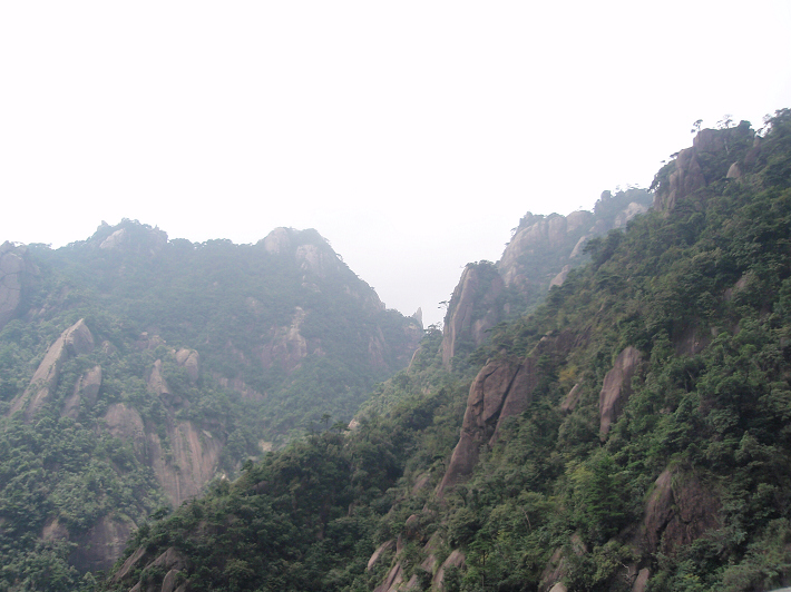 P9054245.jpg