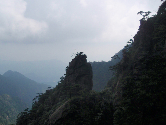 P9054253.jpg