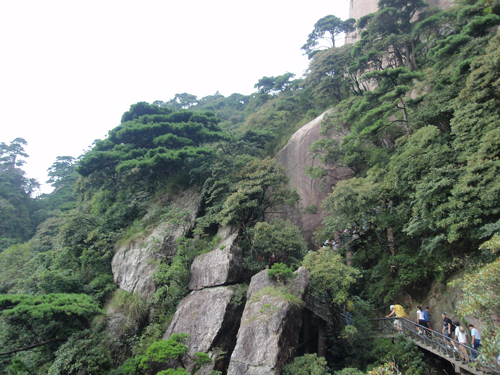 P9054254.jpg