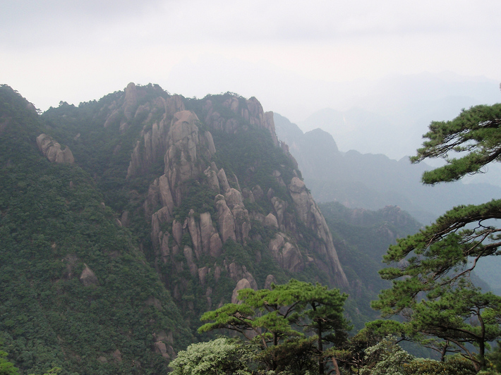 P9054260.jpg