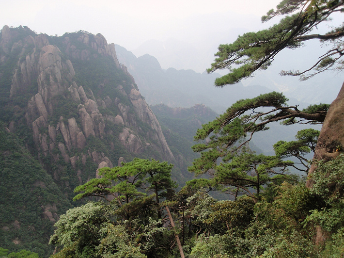 P9054261.jpg