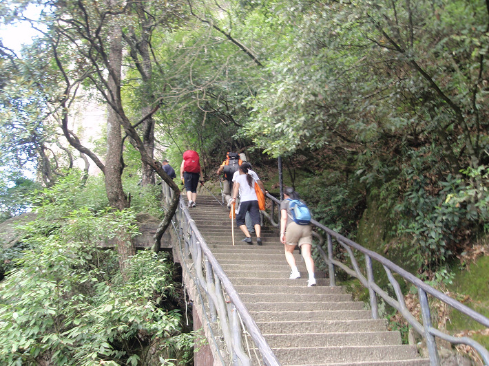 P9054262.jpg