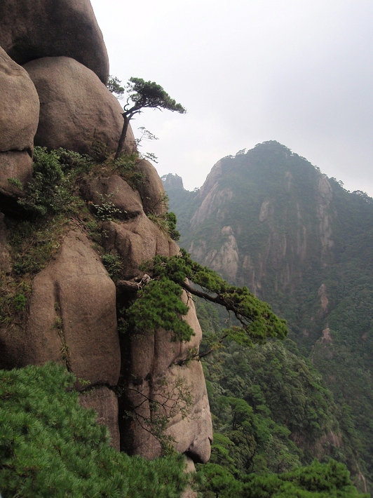 P9054264.jpg