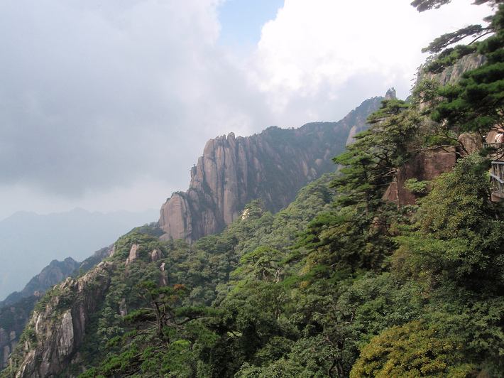 P9054266.jpg