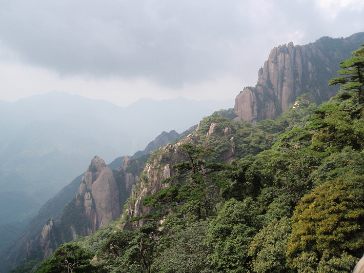 P9054267.jpg