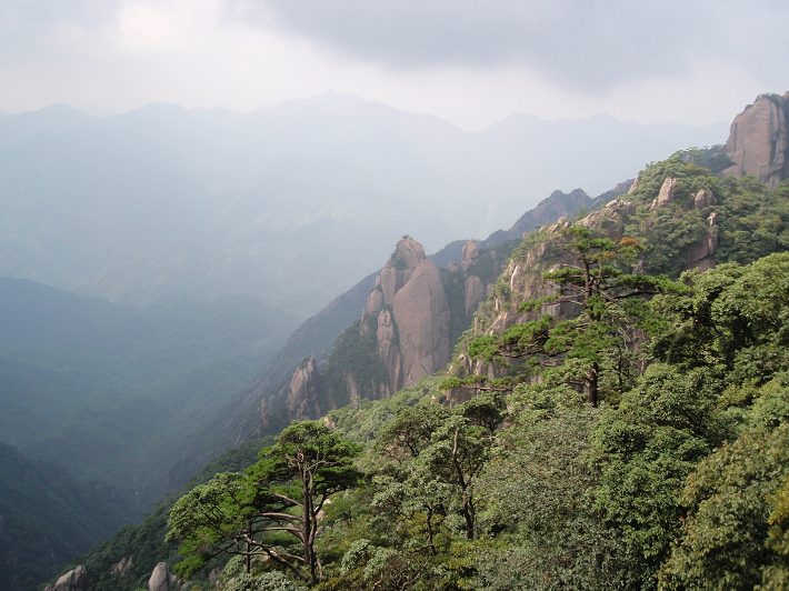 P9054269.jpg