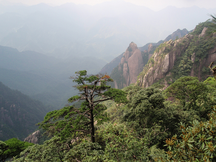 P9054272.jpg