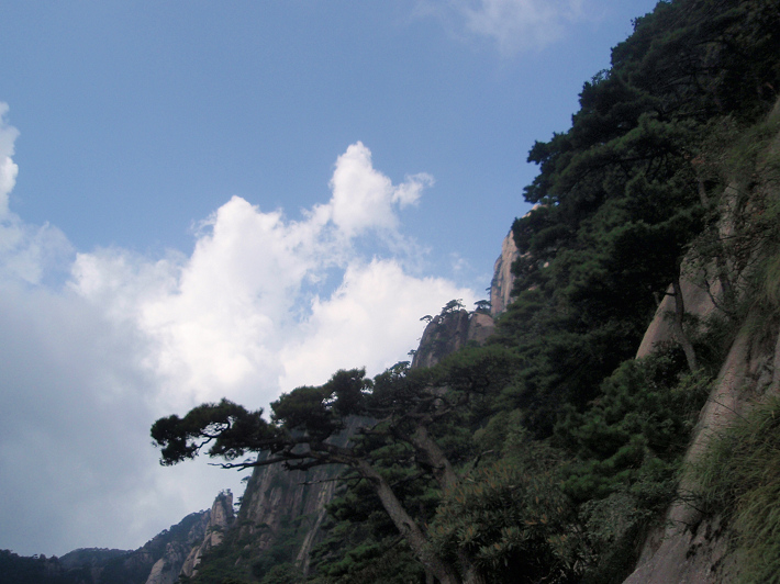 P9054274.jpg