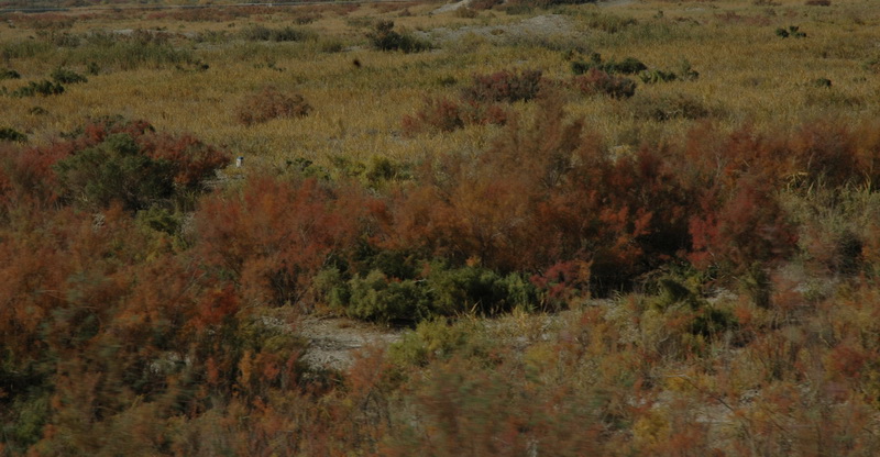 DSC_1999_������С.jpg