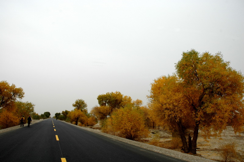 DSC_2129_������С.jpg