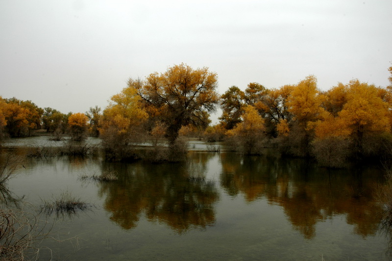 DSC_2405_������С.JPG